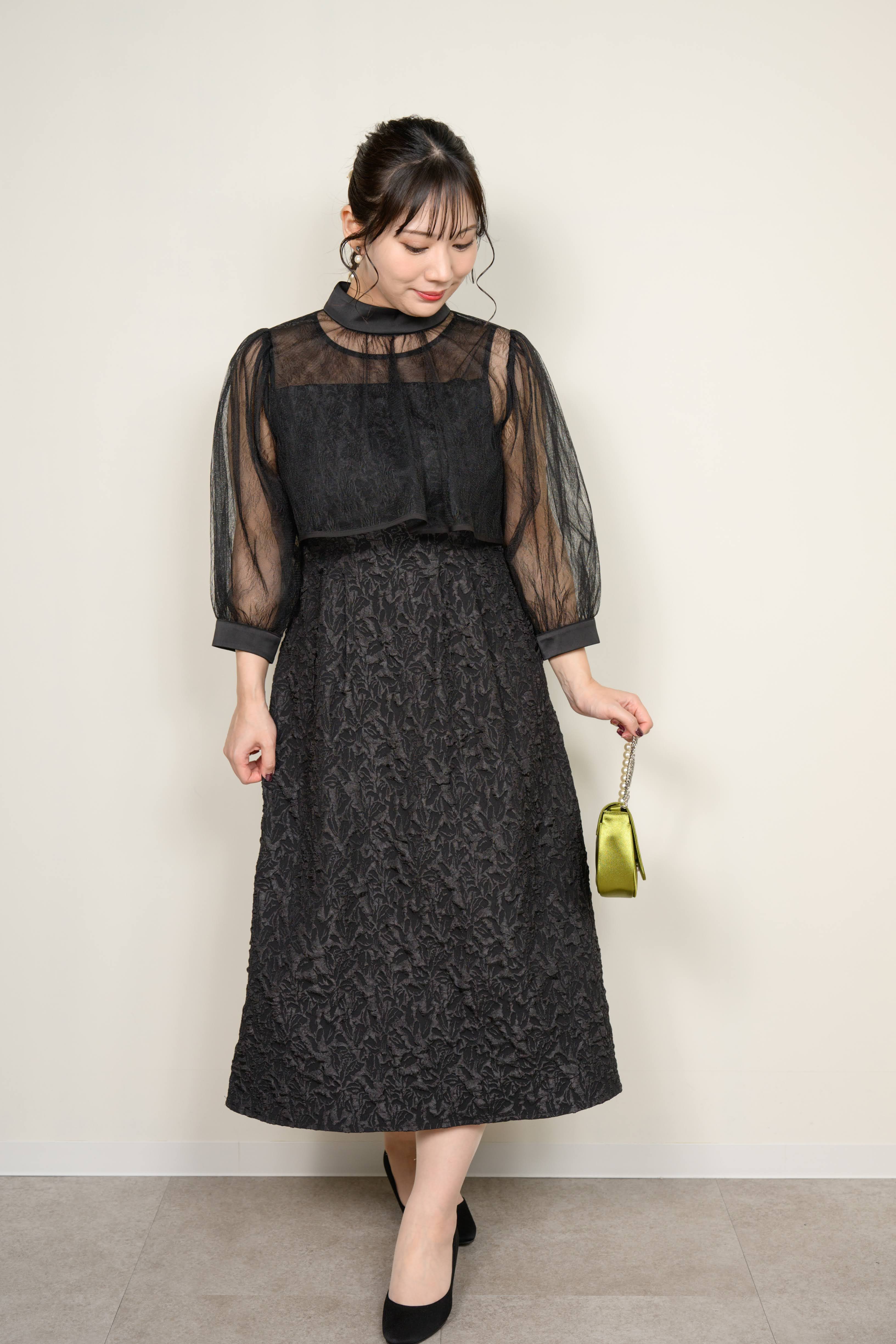 Plus Dress 3